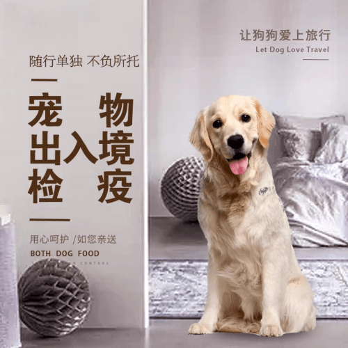 河东区宠物托运到哥伦比亚猫狗宠物入境规定和