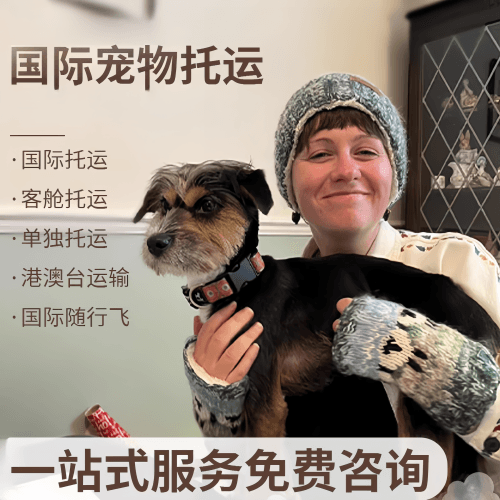 河东区国际宠物托运到阿根廷宠物入境规定和要