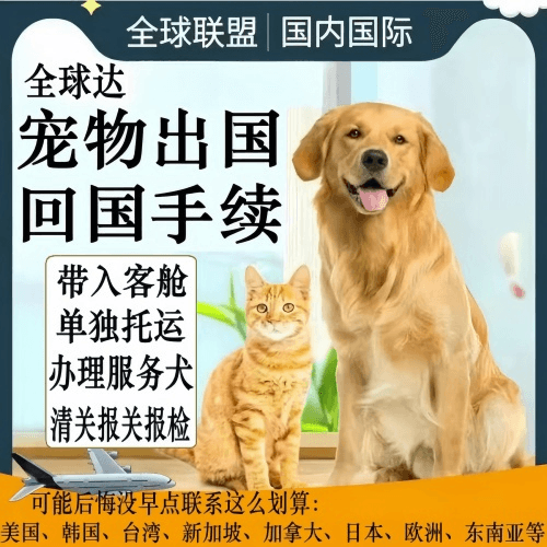 河东区宠物托运到柬埔寨宠物入境规定和要求