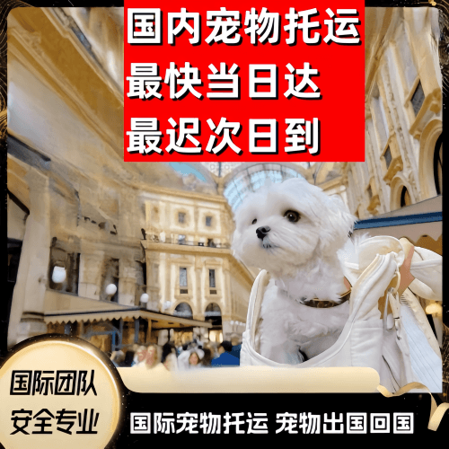 河东区到澳大利亚（澳洲）宠物入境规定和要求